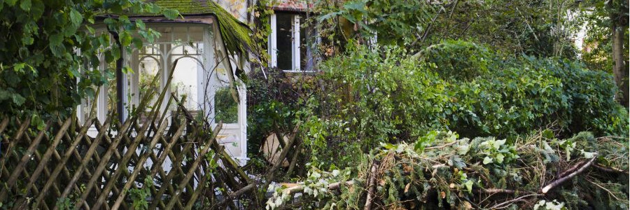 Baum Stürzt Auf Nachbargrundstück Versicherung